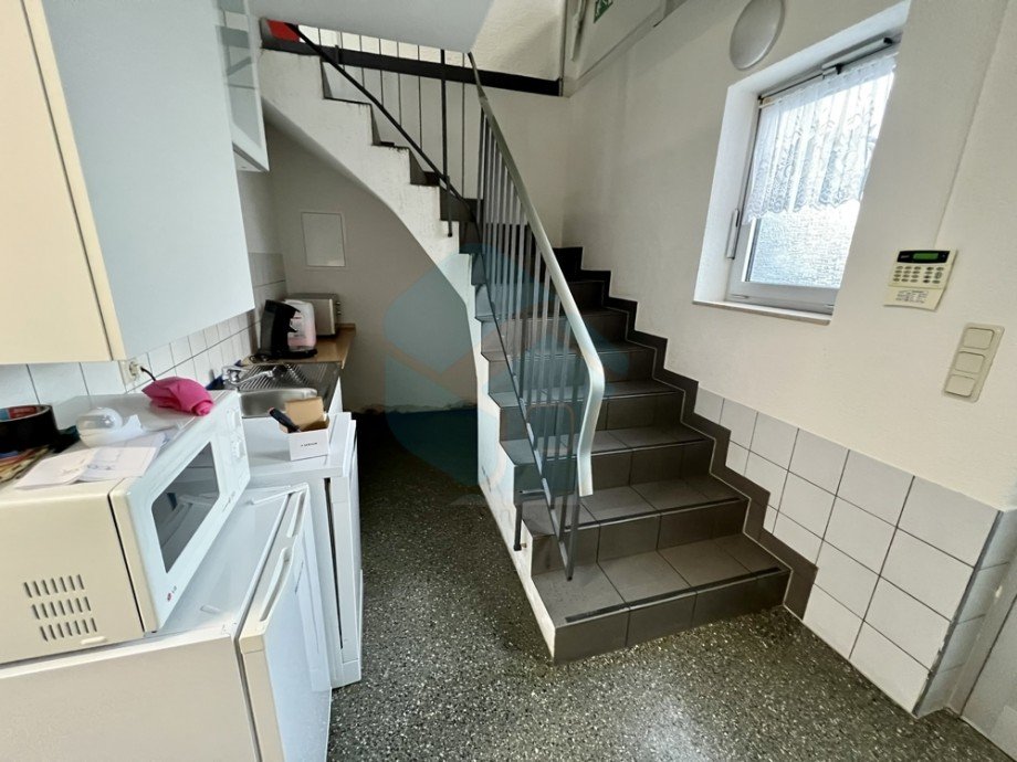  Halle Langg�ns / Oberkleen
