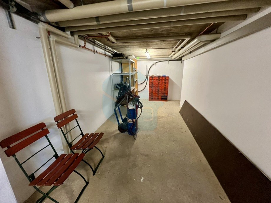  Halle Langg�ns / Oberkleen
