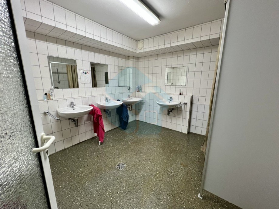  Halle Langg�ns / Oberkleen