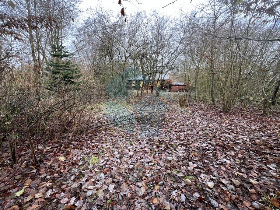 Grundst�cksansicht 2 Wohngrundst�ck Butzbach / Hausen-Oes