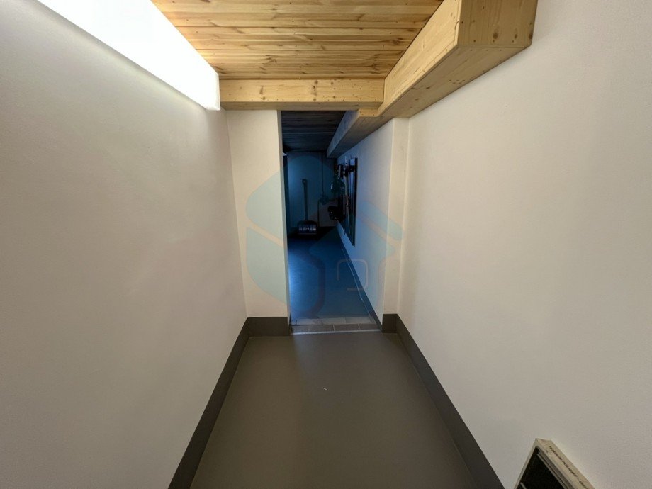  Halle Langg�ns / Oberkleen