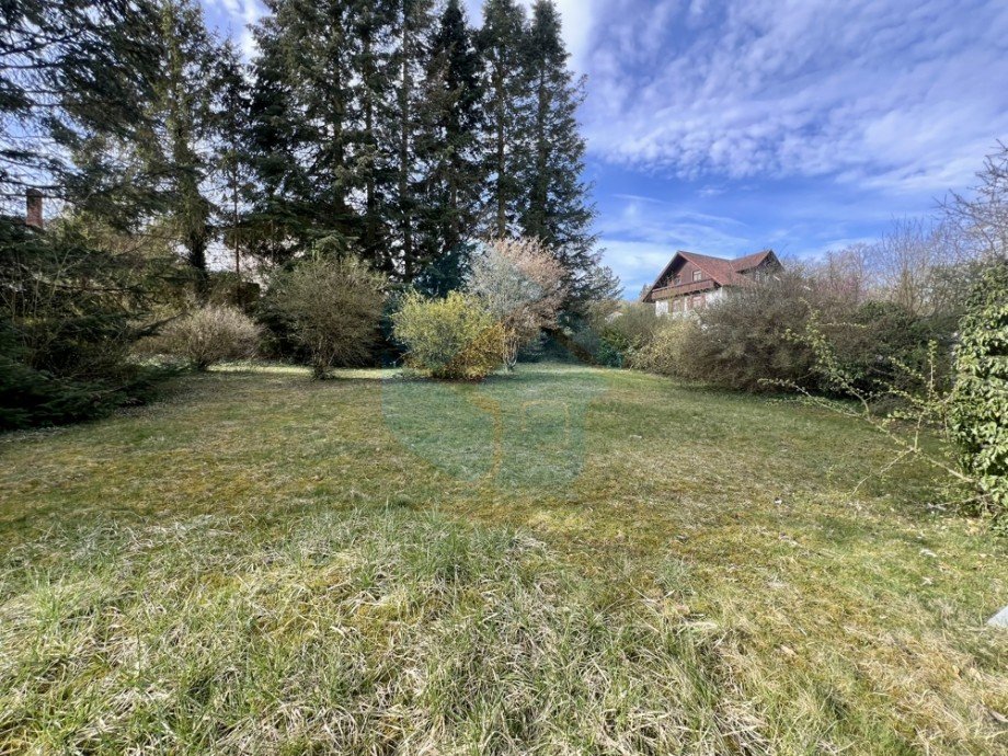 Gartenansicht zum Bauplatz Bungalow Waldsolms / Brandoberndorf