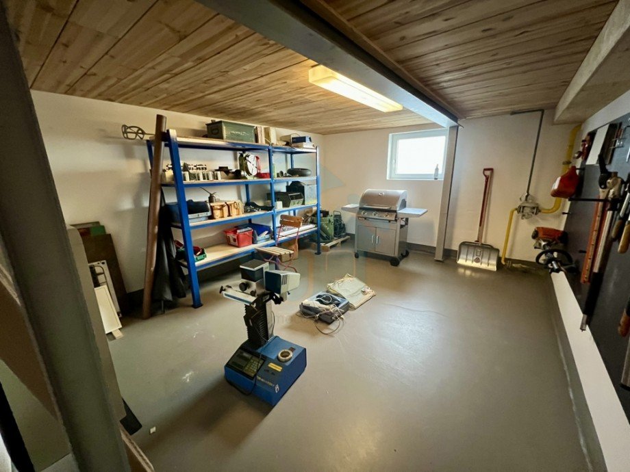  Halle Langg�ns / Oberkleen