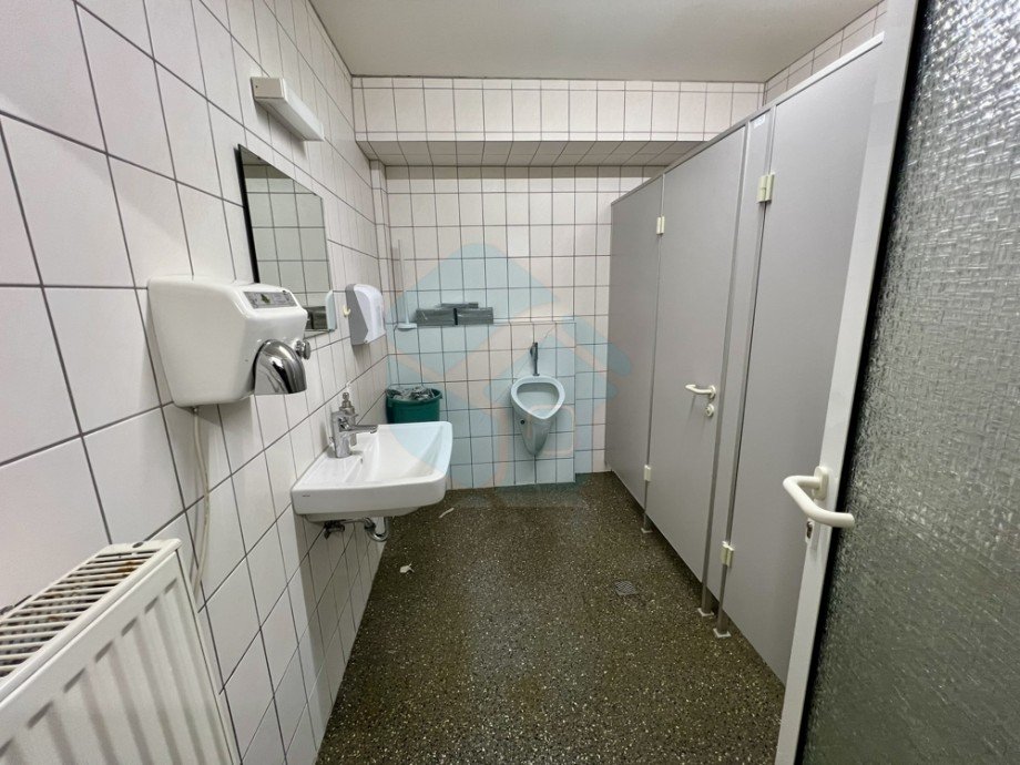  Halle Langg�ns / Oberkleen